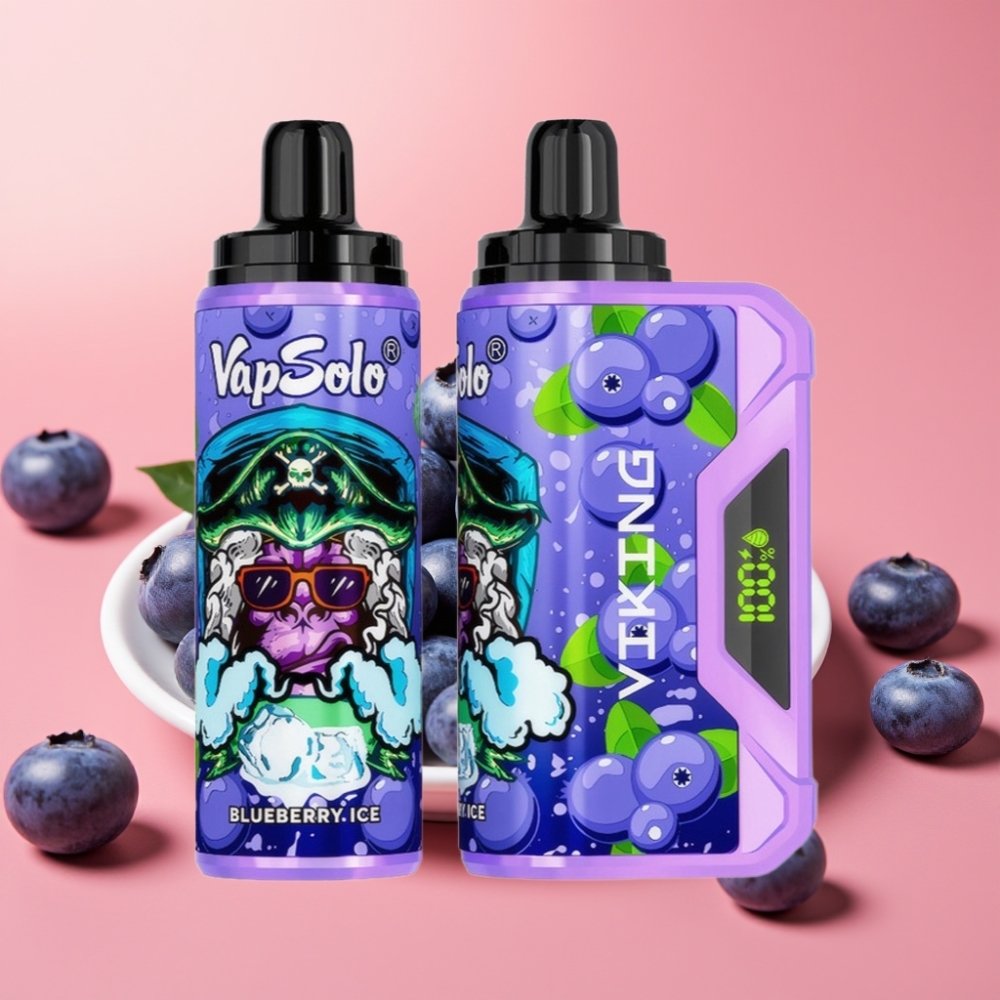VapSolo VIKING 12000 Puf E-Dimka 22ml 20/50 mg/ml Tip-C Borovnica
