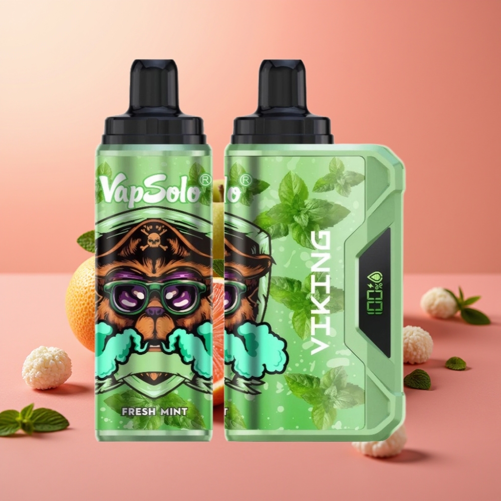 VapSolo VIKING 12000 Pufs Enkratna E-cigareta Sveže Meta 22ml 20/50 mg/ml Tip-C LED