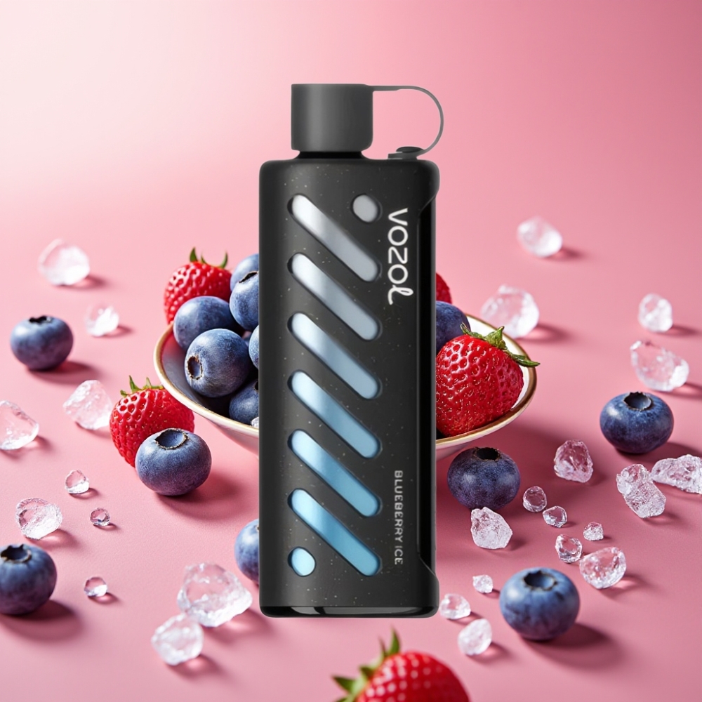 VOZOL Gear Shisha 25000 Pofov Dual Mesh S.i.L.C Tech 1000mAh Borovnični Led