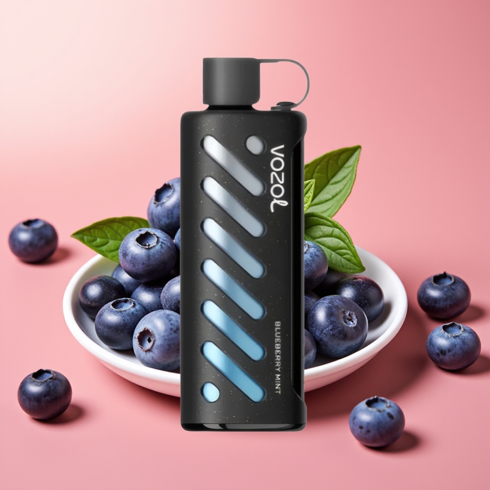 VOZOL Gear Shisha 25000 Puffov Dual Mesh S.i.L.C Tech 1000mAh Borovnica Meta 5mg/ml