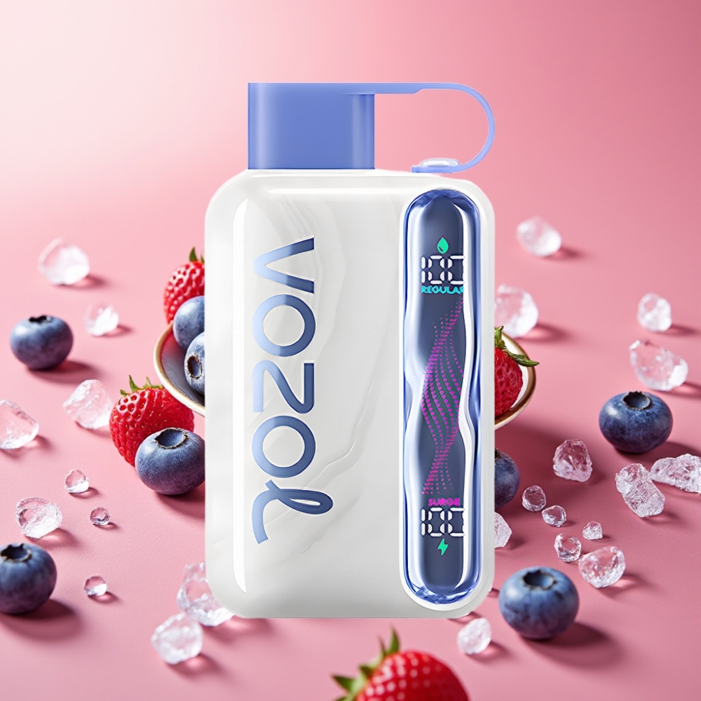 VOZOL STAR 40000 Pufi Enkratna Vape Borovnični Led z 1000mAh in Type-C